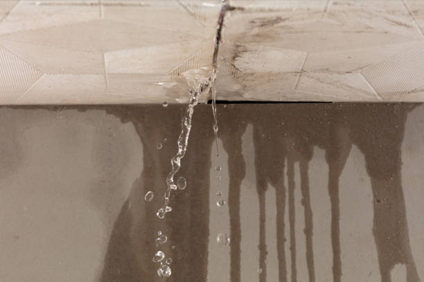 Professional Water Damage Repair technician working in Linesville, PA